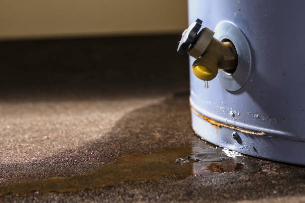 Best Fire Damage Restoration  in South River, NJ