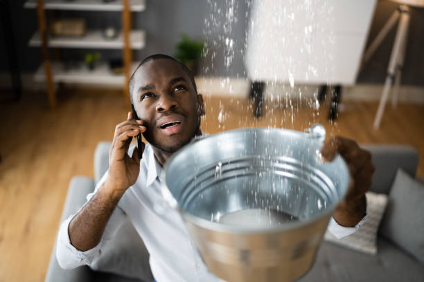 Best 24-hour water damage restoration  in South River, NJ