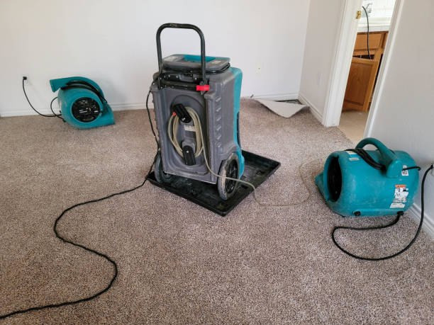 Reliable South River, NJ Water damage restoration Solutions
