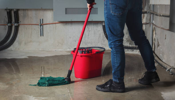 Best Water damage cleanup near me  in South River, NJ