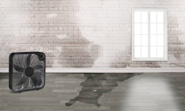 Best Commercial water damage restoration  in South River, NJ