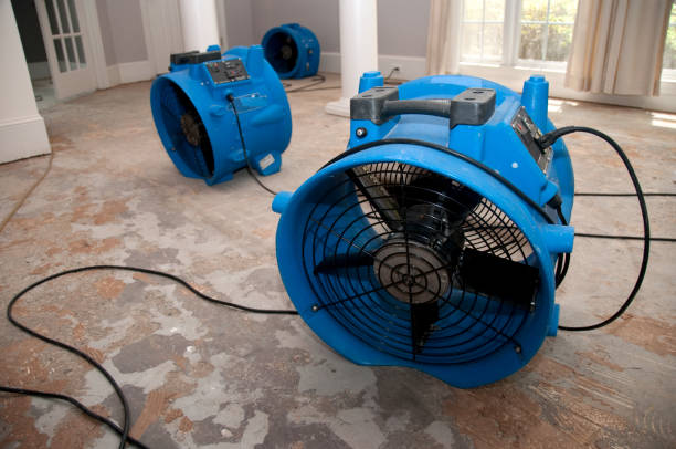 Best Water damage restoration services  in South River, NJ
