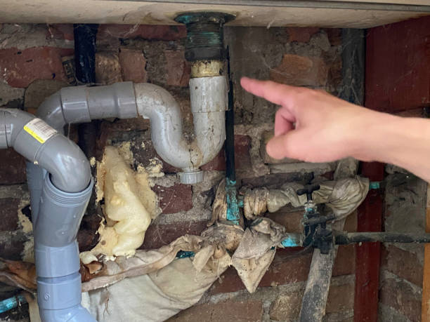Best Sewage cleanup and water damage restoration  in South River, NJ