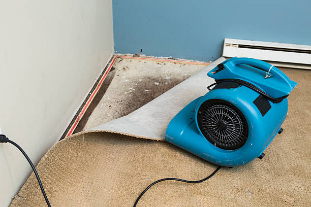 Best Flooded house restoration  in South River, NJ